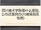 四川美术学院是什么级别，公办还是民办(川美级别及性质)
