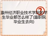 惠州经济职业技术学院的学生毕业都怎么样了(惠职院毕业生去向)