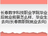 长春数字科技职业学院毕业后就业前景怎么样，毕业生去向(长春数职院就业去向)