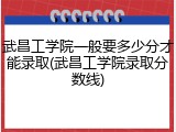 武昌工学院一般要多少分才能录取(武昌工学院录取分数线)