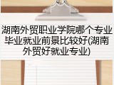 湖南外贸职业学院哪个专业毕业就业前景比较好(湖南外贸好就业专业)