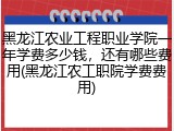 黑龙江农业工程职业学院一年学费多少钱，还有哪些费用(黑龙江农工职院学费费用)