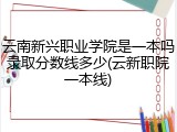云南新兴职业学院是一本吗录取分数线多少(云新职院一本线)