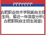 合肥职业技术学院能自主招生吗，最近一年简章分析(合肥职院自主招生简章)
