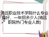 清远职业技术学院什么专业最好，一年招多少人(清远职院热门专业人数)
