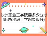 沙洲职业工学院要多少分才能进(沙洲工学院录取分)