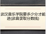 武汉音乐学院要多少分才能进(武音录取分数线)