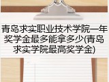 青岛求实职业技术学院一年奖学金最多能拿多少(青岛求实学院最高奖学金)
