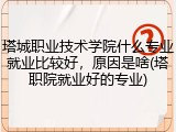 塔城职业技术学院什么专业就业比较好，原因是啥(塔职院就业好的专业)