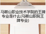 马鞍山职业技术学院的王牌专业是什么(马鞍山职院王牌专业)