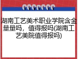 湖南工艺美术职业学院含金量量吗，值得报吗(湖南工艺美院值得报吗)
