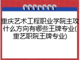 重庆艺术工程职业学院主攻什么方向有哪些王牌专业(重艺职院王牌专业)