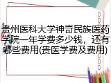 贵州医科大学神奇民族医药学院一年学费多少钱，还有哪些费用(贵医学费及费用)