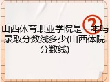 山西体育职业学院是一本吗录取分数线多少(山西体院分数线)