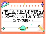毕节工业职业技术学院是否有双学位，为什么(毕职院双学位原因)
