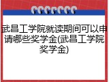 武昌工学院就读期间可以申请哪些奖学金(武昌工学院奖学金)