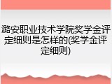 潞安职业技术学院奖学金评定细则是怎样的(奖学金评定细则)
