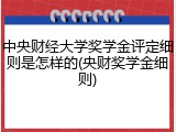 中央财经大学奖学金评定细则是怎样的(央财奖学金细则)