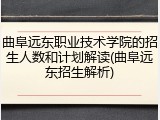 曲阜远东职业技术学院的招生人数和计划解读(曲阜远东招生解析)