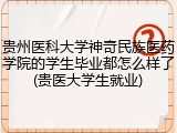 贵州医科大学神奇民族医药学院的学生毕业都怎么样了(贵医大学生就业)