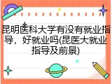 昆明医科大学有没有就业指导，好就业吗(昆医大就业指导及前景)