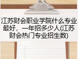 江苏财会职业学院什么专业最好，一年招多少人(江苏财会热门专业招生数)