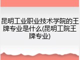 昆明工业职业技术学院的王牌专业是什么(昆明工院王牌专业)