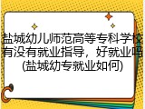 盐城幼儿师范高等专科学校有没有就业指导，好就业吗(盐城幼专就业如何)