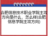 合肥信息技术职业学院主攻方向是什么，怎么样(合肥信息学院主攻方向)