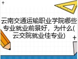 云南交通运输职业学院哪些专业就业前景好，为什么(云交院就业佳专业)
