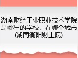 湖南财经工业职业技术学院是哪里的学校，在哪个城市(湖南衡阳财工院)