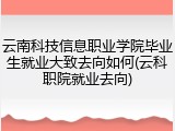 云南科技信息职业学院毕业生就业大致去向如何(云科职院就业去向)