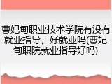 曹妃甸职业技术学院有没有就业指导，好就业吗(曹妃甸职院就业指导好吗)