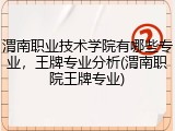 渭南职业技术学院有哪些专业，王牌专业分析(渭南职院王牌专业)
