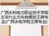广西水利电力职业技术学院主攻什么方向有哪些王牌专业(广西水电学院王牌专业)