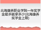 北海康养职业学院一年奖学金最多能拿多少(北海康养奖学金上限)