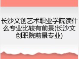 长沙文创艺术职业学院读什么专业比较有前景(长沙文创职院前景专业)