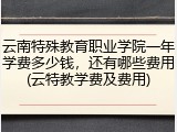 云南特殊教育职业学院一年学费多少钱，还有哪些费用(云特教学费及费用)