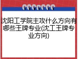 沈阳工学院主攻什么方向有哪些王牌专业(沈工王牌专业方向)