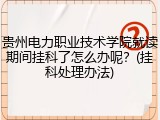 贵州电力职业技术学院就读期间挂科了怎么办呢？(挂科处理办法)