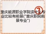 重庆能源职业学院读什么专业比较有前景("重庆职院前景专业")