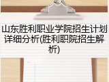 山东胜利职业学院招生计划详细分析(胜利职院招生解析)