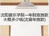 沈阳音乐学院一年财政拨款大概多少钱(沈音年拨款)