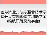 哈尔滨北方航空职业技术学院开设有哪些奖学和助学金(哈航职院奖助学金)
