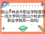 嵩山少林武术职业学院是双一流大学吗?(嵩山少林武术职业学院双一流吗)