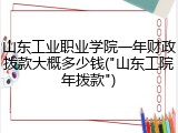 山东工业职业学院一年财政拨款大概多少钱("山东工院年拨款")