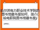 哈尔滨电力职业技术学院的图书馆藏书量如何，简介(哈电职院图书馆藏书量)