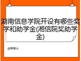 湖南信息学院开设有哪些奖学和助学金(湘信院奖助学金)