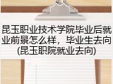 昆玉职业技术学院毕业后就业前景怎么样，毕业生去向(昆玉职院就业去向)