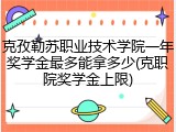 克孜勒苏职业技术学院一年奖学金最多能拿多少(克职院奖学金上限)